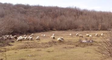 priče iz hercegovine, hodopisi, Dragan Marijanović