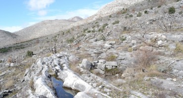 Daniela Škegro:  Hercegovci su za kamen srcem ušiveni