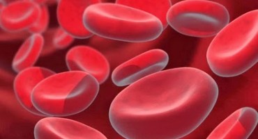 Simptomi nedostatka željeza u krvi