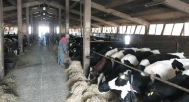 Ministar u posjeti Udruzi proizvođača autohtonog livanjskog sira 'Cincar' i farmi 'Tomislavgrad'