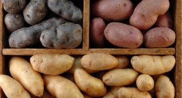 Krumpir(drugi dio): beskorisno povrće ili dar prirode?