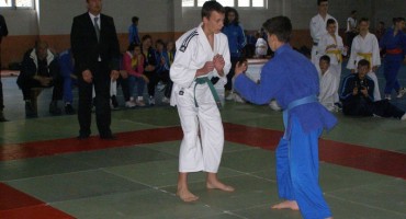 Judo klub Borsa