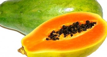 Ljekovita biljka: Papaja