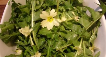 Salata će biti puno zdravija ako joj dodate ovo..