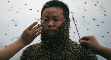 She Ping, prekrio tijelo pčelama, pčele