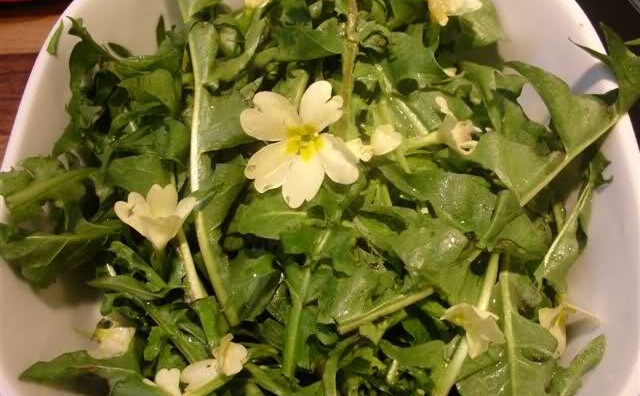 salata, Listove maslačka, ljekovitu salatu od maslačka, orah, salata, začini, zdravlje