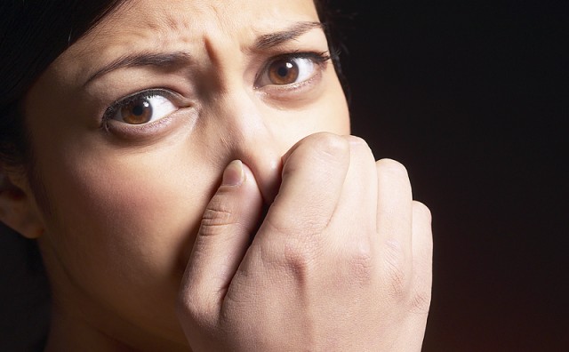 Ljudski nos prepoznaje bilijun mirisa