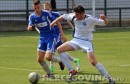 juniori, kadeti, Omladinska liga, FK Željezničar, FK Radnik