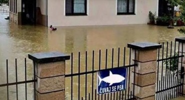 Bosanski humor i u teškim vremenima: Čuvaj se morskog psa