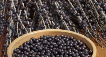 Uz acai bobice Oprah smršavila 20 kg i regulirala štitnjaču