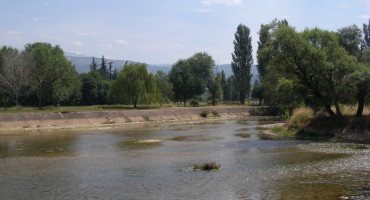 Bunica