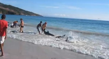 Došao je da snima plažu i more. Nije mogao vjerovati očima što se onda dogodilo