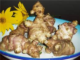 Ljekovita biljka čičoka