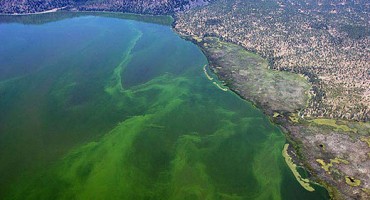 Tajne zdravlja Klamatskog jezera