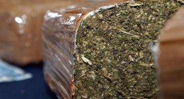 Na Siciliji zaplijenjene više od 42 tone kanabisa