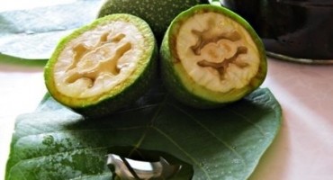 Prirodni lijek za bronhitis