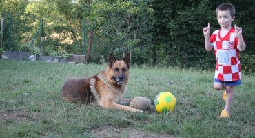 Pas, priča, dječak