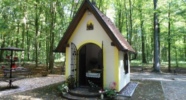 Gunja: misa u svetištu Gospe šumanovačke