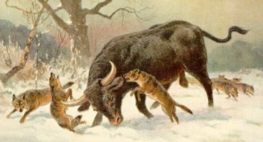 Nacisti pokušali 'uskrsnuti' izumrlu vrstu još prije pola stoljeća?