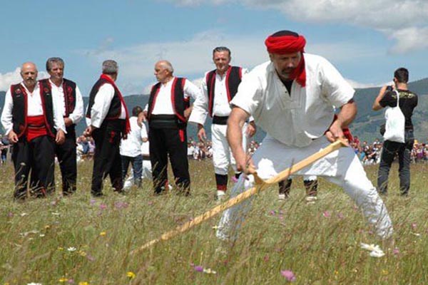 Strljanica 2014