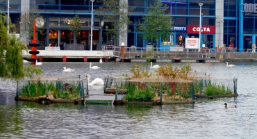 Umjetni otok sa ciljem pročišćavanja voda 