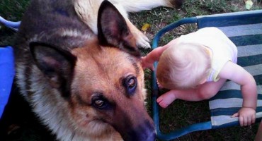 Njemacki ovcar i dijete