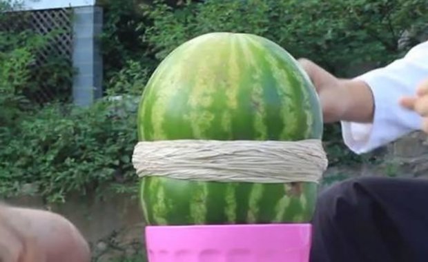 Pogledajte što se dogodi kada oko lubenice stavite gomilu gumica!