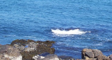 Atlantski ocean nas je spasio od prženja