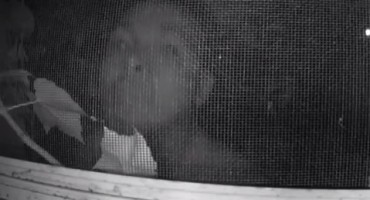 voajer, djevojka, stan