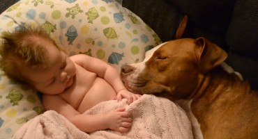 Na trenutak je ostavila pit bulla samog s bebom i ugledala je nešto neočekivano!