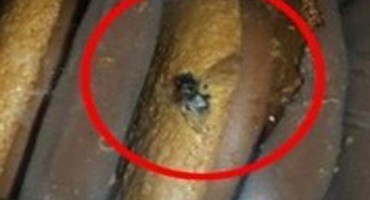 Otvorio kutiju omiljenih keksa, a onda je uslijedio ŠOK!