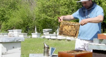 Radivoje Maksimovic medar