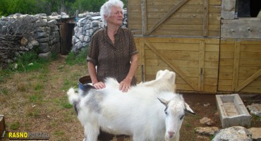 Hrabra Hercegovka Draga Kvesić ubila 17. zmija na jednom mjestu