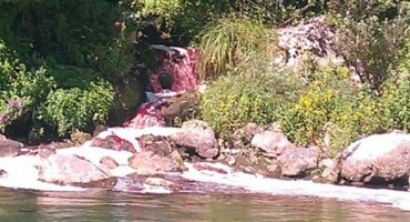 Šokantno: Iz klaonice se u rijeku Neretvu slijeva svježa krv