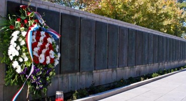 Čapljina, krađa navika