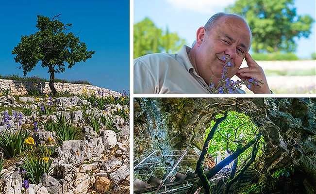 Istarski biljni Disneyland: Histria Aromatica