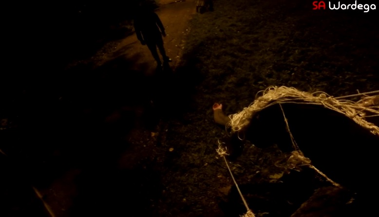 Podvala: Nasmrt ih plašio psić maskiran u odvratnog pauka