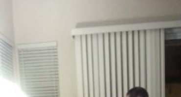 njemačka doga, ljubomora, maženje