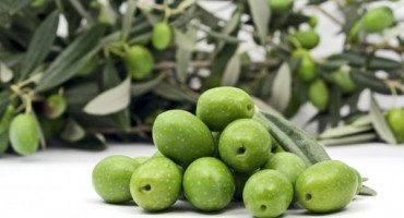 Španjolci žele saditi masline u Mostaru