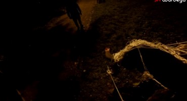 Podvala: Nasmrt ih plašio psić maskiran u odvratnog pauka