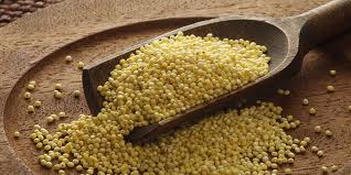 Za samo 10 dana ukloniti kamenac iz bubrega uz pomoć prosa 