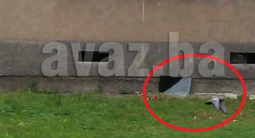 Navijač BiH nakon poraza od Cipra bacio televizor kroz prozor 