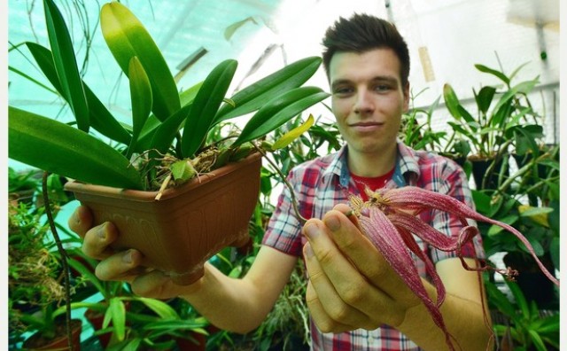 23-godišnji Mostarac Dino Zelenika vodeći stručnjak za orhideje