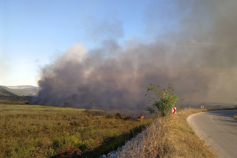 Gorio Park prirode Hutovo blato, dežuralo se cijelu noć