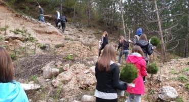  Tisuće vrijednih volontera i ove godine u akciji Let's do it-milijun sadnica za 1 dan