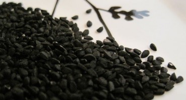  Ulje crnog kima 'liječi sve osim smrti'? 