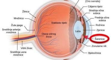 Upoznajte neke najpoznatije bolesti oka i načine liječenja