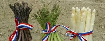 Hranidbena vrijednost i ljekovitost biljke: Šparoga