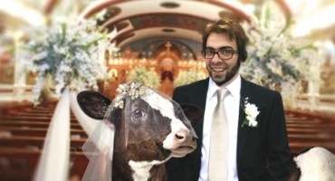 Muškarac iz Bošnjaka oženio svoju kravu: Matičar ih vjenčao jer u zakonu ne piše da se to ne smije
