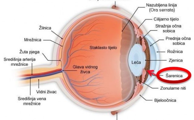 Upoznajte neke najpoznatije bolesti oka i načine liječenja
